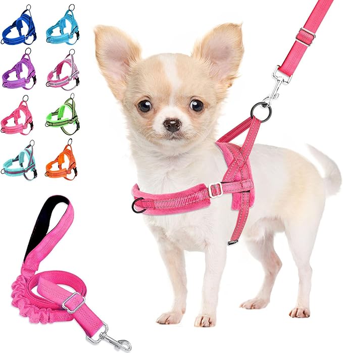 Lukovee No Pull Dog Harness and Leash Set, Soft Padded Small Dog Harness, Neck & Chest Adjustable Reflective Vest Puppy Harness with 4ft Lightweight Anti-Twist Dog Leash for Small Dogs (XS, Pink)