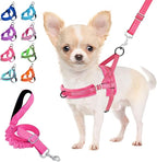 Lukovee No Pull Dog Harness and Leash Set, Soft Padded Small Dog Harness, Neck & Chest Adjustable Reflective Vest Puppy Harness with 4ft Lightweight Anti-Twist Dog Leash for Small Dogs (Pink, Large)