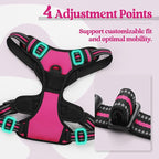 rabbitgoo Dog Harness No Pull with 2 Leash Clips, Adjustable Soft Padded, Reflective Oxford No Choke Pet Vest with Easy Control Handle for Large Dogs, Hot Pink, XL