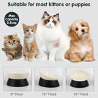 Bulldog Bowl Anti-Slip Dog Cat Dish Detachable Rubber Dog Bowl Pet Sterile Tilted Pet Feeder Slope Base (Black, 3.5 Cup (Medium/Large Dog))