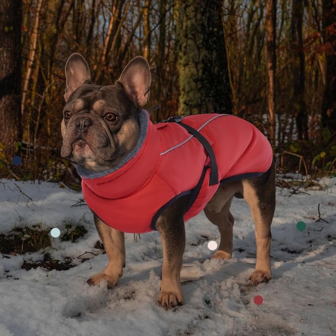 IECOii Extra Warm Dog Coat - Reflective, Adjustable Jacket with Buckle & Fleece Turtleneck for Cold Weather, Soft Winter Coat for Small to Extra Large Dogs