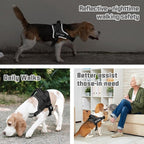 AUROTH Dog Harness and Leash Set, Soft Padded Service Dog Vest with 5.25FT Dog Leash, No Choke, Easy On Pet Vest, Adjustable Reflective No Pull Dog Harness Small Sized Dog, Easy Walking and Training