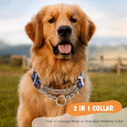Martingale Dog Collar with Chain, No Pull Slip Cinch Choker Choke Collar Training Escape Proof Heavy Duty Dog Collar for Medium Large Extra Large Pet Dogs,Blue Plaid XL