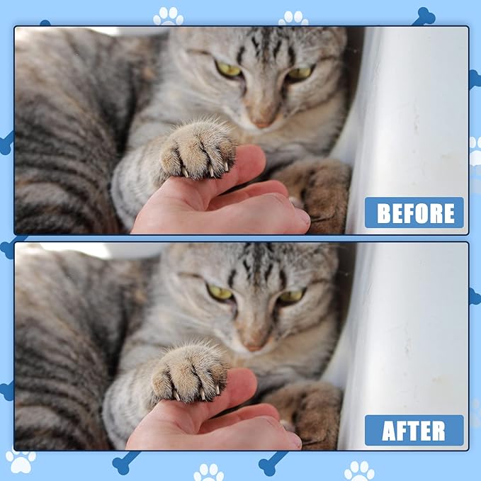 6pcs Cat Nail File Scratching Strips, 3 Sizes Blue 120 Grit Claw Sandpaper Nail File for Cats Scratch Pad Reliable Rounded Corners Cat Scratcher for Furniture Flat Surface Cat Litter Box