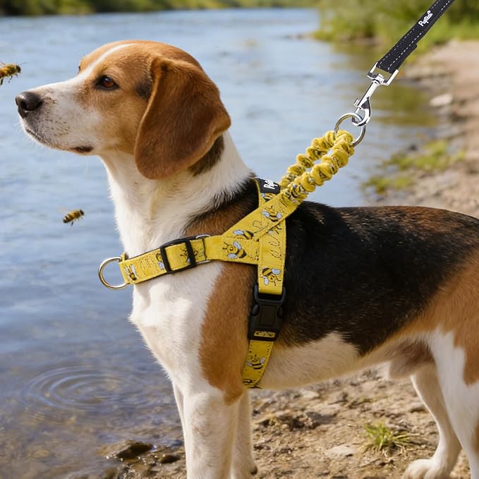 PUPTECK No Pull Dog Harness Small Sized Dog, Adjustable Reflective Pet Vest Harness with Bungee Handle, Escape Proof No Choke Harness for Small Dogs Walking Training, Yellow Bee S