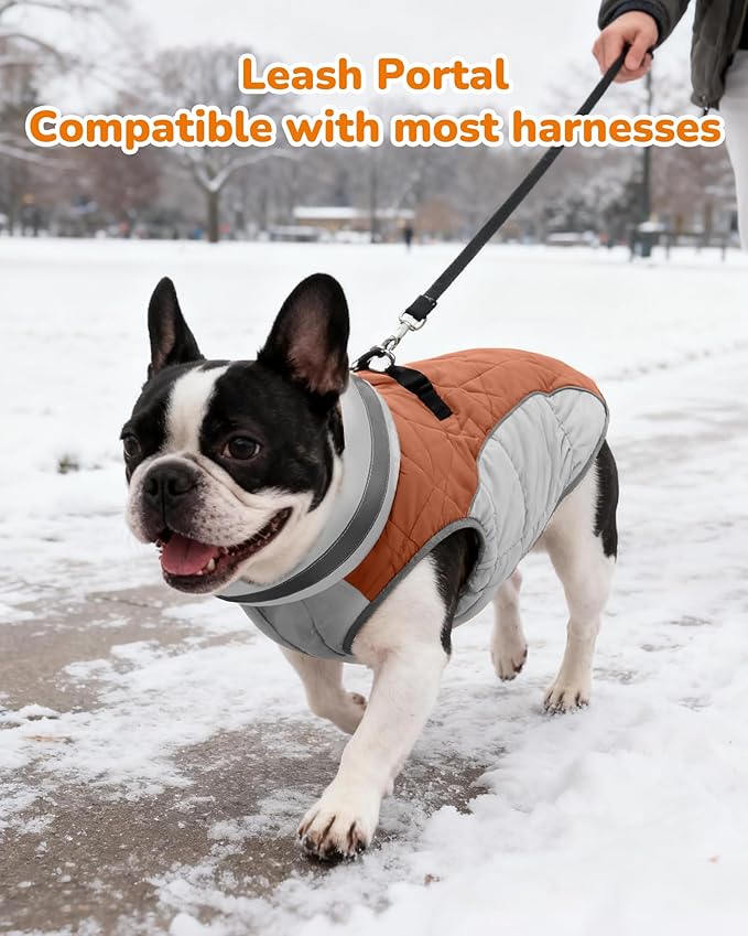 Dog Winter Coat for Medium Dogs, Adjustable Puppy Warm Jackets in Cold Weather, Reflective Pet Fleece Vest with External Attachment Points, Zippered Cold-Weather Dog Winter Clothes, M Brown