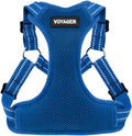Best Pet Supplies Voyager Adjustable Step-in Flex Breathable Mesh Dog Harness for Small Medium Large Dogs (Royal Blue), XS