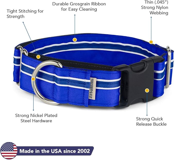 If It Barks - 1.5" Martingale Collar for Dogs - Quick Snap Release Buckle - Adjustable - Nylon - Strong and Comfy - Ideal for Training - Made in USA - Large, Blueberry