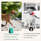 Mayerzon 1.5" Wide Martingale Collar for Large Medium Small Dogs Pitbull German Shepherd, No Pull Reflective Slip Martingale Dog Collar with Buckle Soft Padded for Walking Training(Teal,XXL)