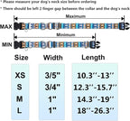 Reflective Martingale Collar with Buckle Shark Starfish Ethnic Stripe Adjustable Designer Dog Collars (Underwater World, Large)