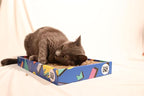 Travel Cat Portable Cat Scratcher - Durable and Recyclable Cat Scratching Board for Indoor Cat, Kitten for Rest, Play, Scratch - Premium 90s Travel Cat Scratch Pad with Box