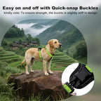 Plutus Pet Adjustable No Pull Dog Harness with Leather Accents, Heavy Duty Reflective Nylon Vest for Training, Hiking, Easy Walk Harness for Small, Medium, Large Dogs (Green, S)