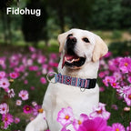 Martingale Collar for Dogs with Buckle No Pull Adjustable Nylon Limited Slip Training Dog Collars (Purple Tribal, Large)