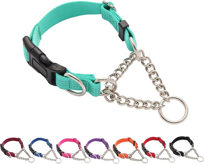 Martingale Dog Collar with Quick Release Buckle Steel Chain No Pull Training Reflective Collar for Medium Large Dogs(Teal, Medium)