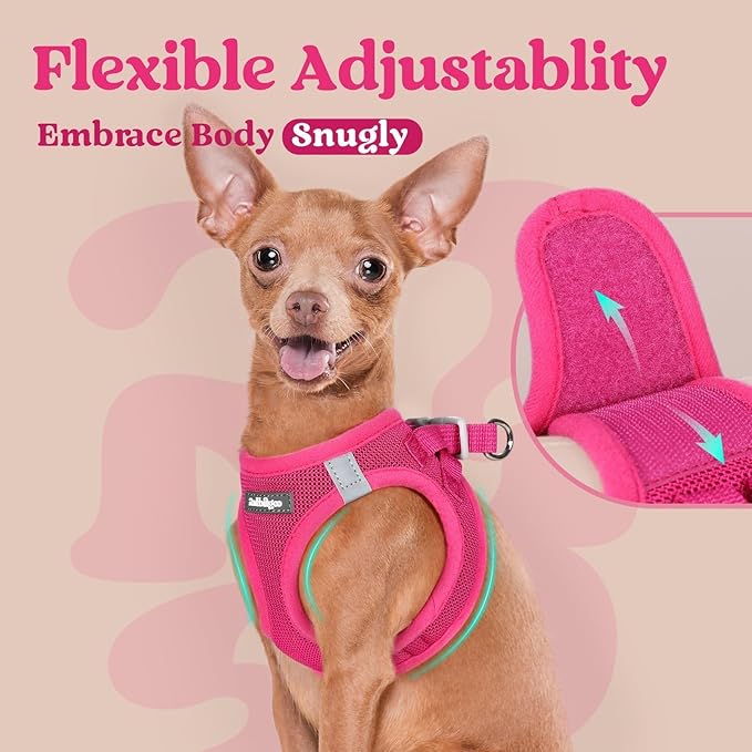 rabbitgoo Small Dog Harness, Step-in Soft Mesh Puppy Vest with Safety Buckle, Breathable Reflective Pet Harness for Extra Small Dogs, Rose Red XXXS