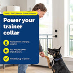 PetSafe Smart Dog Remote Trainer Adaptor - Replacement Wall Charger for PDT00-15748 Collar - Compact Direct Plug-in Adaptor - Durable Reliable Power Accessory
