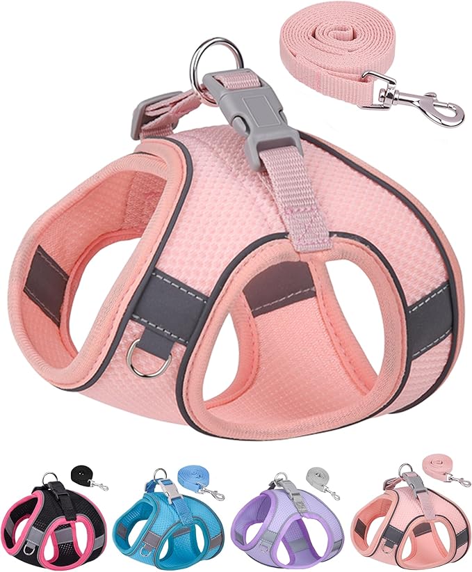 Dog Harness for Small Medium Sized Dog, Step in Puppy Harness and Leash Set Training Walking. (Peach, L)