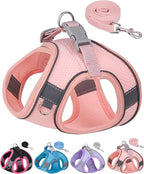 Dog Harness for Small Medium Sized Dog, Step in Puppy Harness and Leash Set Training Walking. (Peach, S)