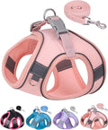Dog Harness for Small Medium Sized Dog, Step in Puppy Harness and Leash Set Training Walking. (Peach, XS)