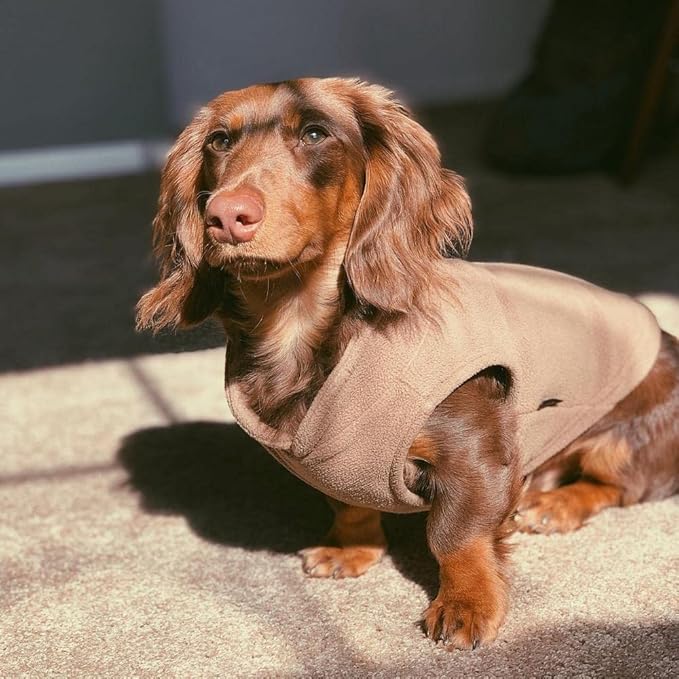 Gooby Fleece Vest Dog Sweater - Clay, X-Small - Warm Pullover Fleece Dog Jacket with O-Ring Leash for Small to Medium Dogs