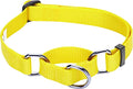 Blueberry Pet Essentials Martingale Safety Training Dog Collar, Blazing Yellow, Small, Heavy Duty Nylon Adjustable Collars for Dogs