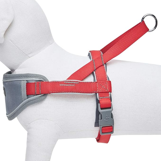 Blueberry Pet 8 Colors Soft & Comfy 3M Reflective Strips Padded Dog Harness Vest, Chest Girth 30" - 38.5", Red, Large, Nylon Adjustable Training Harnesses for Dogs