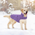 Malier Dog Winter Coat, Reversible Fleece Dog Cold Weather Coats, Windproof Warm Snow Puppy Jacket Vest Pet Clothes for Small Medium Large Dogs (Purple, Medium)
