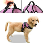 No Pull Reflective Adjustable Dog Harness With Handle- Comfortable Soft All Weather Mesh, Easy On Puppy Harness For Small Medium and Large Dogs (Pink) Large