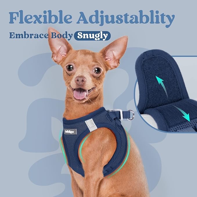 rabbitgoo Small Dog Harness, Step-in Soft Mesh Puppy Vest with Safety Buckle, Breathable Reflective Pet Harness for Small Medium Dogs, Navy Blue L