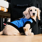 Gooby Fashion Vest Dog Jacket - Blue, Small - Warm Zip Up Bomber Vest with Dual D Ring Leash - Winter Water Resistant Small Dog Sweater