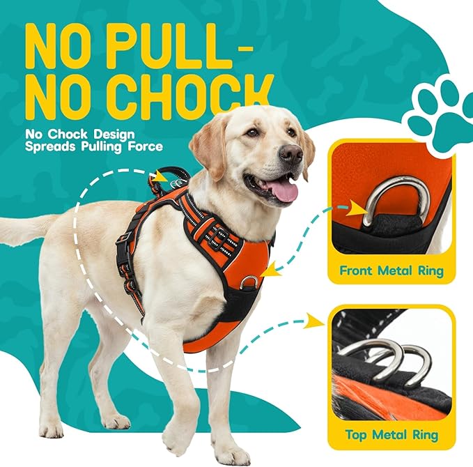 No Pull Dog Harness and Leash Set for Large Dogs – Adjustable Reflective Breathable Soft Padded Easy Control Dog Harness for Training & Walking, Orange (Large)