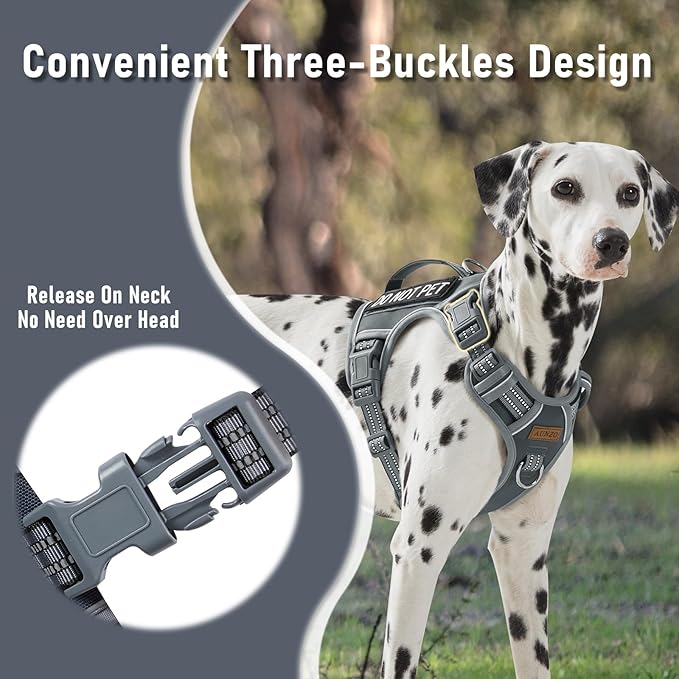 Light Dog Harness for Small Sized Dog Breeds, No-Pull Pet Harness with 2 Leash Clips, Adjustable Soft Padded Dog Vest, Reflective Pet Oxford Vest, Puggle, Terriers, Beagle, Gray, Small