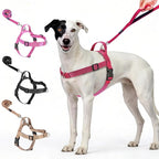 Annchwool No Pull Dog Harness with Front Clip and Easy Control Handle-Belly & Chest Adjustable Dog Harness and Leash Set for Medium Large Dogs-Heavy Duty Vest Harnesses Easy for Walking(Red,L)