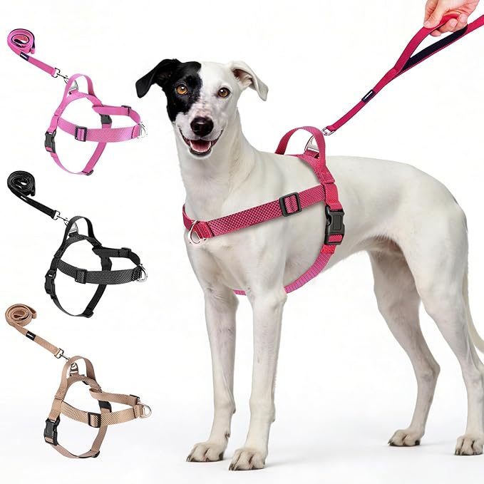 Annchwool No Pull Dog Harness with Front Clip and Easy Control Handle-Belly & Chest Adjustable Dog Harness and Leash Set for Medium Large Dogs-Heavy Duty Vest Harnesses Easy for Walking(Red,M)