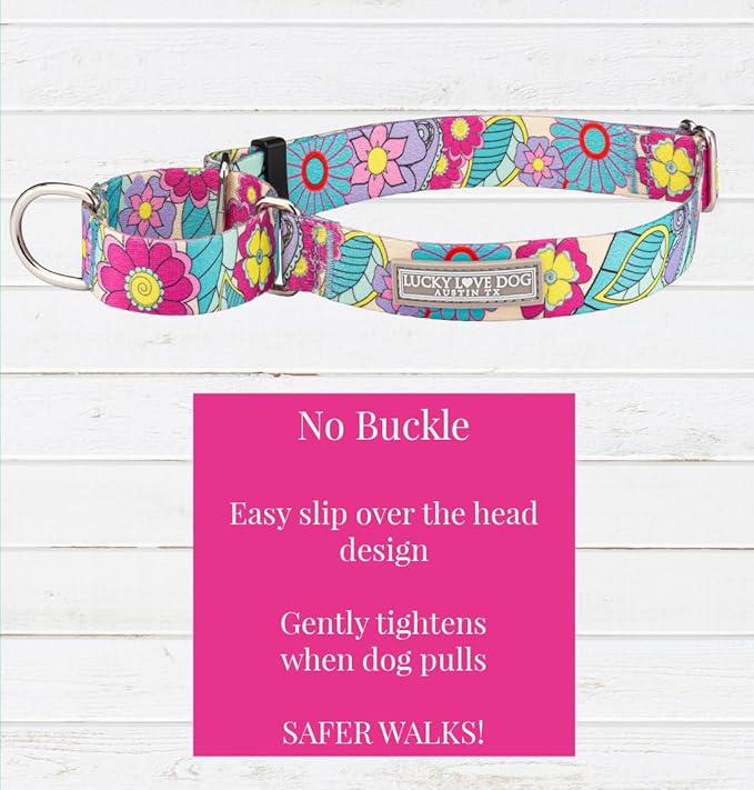 Lucky Love Dog Martingale Dog Collar - Adjustable, No-Slip, Durable, & Soft Webbing Collar for Male and Female Dogs Ideal for Training & Walking - Caroline, Small