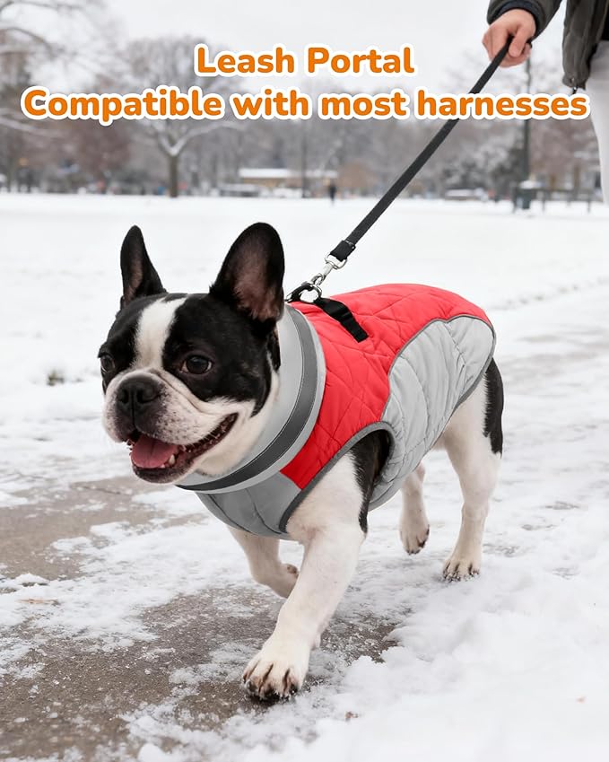 Dog Winter Coat for Large Dogs, Adjustable Puppy Warm Jackets in Cold Weather, Reflective Pet Fleece Vest with External Attachment Points, Zippered Cold-Weather Dog Winter Clothes, L Red