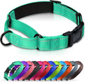 Martingale Collar for Dogs with Quick Release Buckle, Reflective Soft Padded & Escape Proof, Adjustable Nylon Dog Collars for Training & Daily Walking (Turquoise,L)