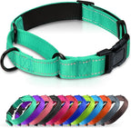 Martingale Collar for Dogs with Quick Release Buckle, Reflective Soft Padded & Escape Proof, Adjustable Nylon Dog Collars for Training & Daily Walking (Turquoise,L)