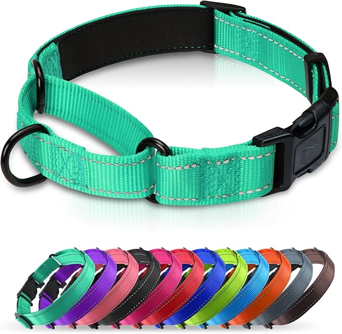 Martingale Collar for Dogs with Quick Release Buckle, Reflective Soft Padded & Escape Proof, Adjustable Nylon Dog Collars for Training & Daily Walking (Turquoise,L)