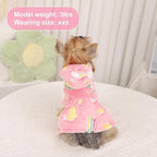 Dog Sweaters for Small Dogs Girl Night Glow Dog Hoodie Warm Fleece Doggie Sweatshirt Cute Puppy Dress Winter Pet Sweaters Doggy Clothes Outfit Apparel for Chihuahua Yorkie, Rainbow, XXS