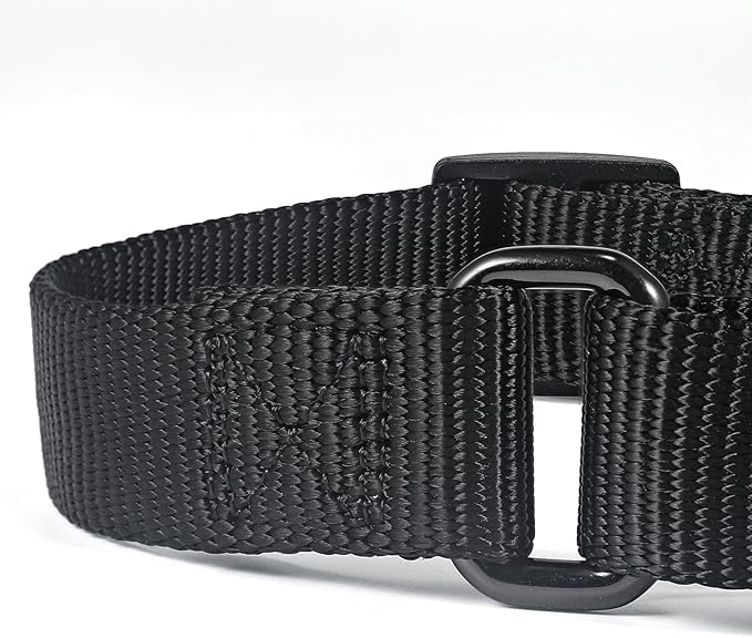 Premium Nylon Adjustable Martingale Dog Collars,Comfort and Silky Dog Collar with Heavy Duty D-Ring for Active Dogs Walking,Training,etc... (Black, Medium)