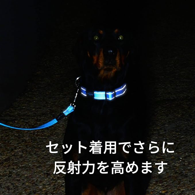 Reflective Nylon Choke Collar; Slip Show Obedience Training Gentle Choker for Extra Large Dogs, Purple