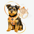 Haminway No-Pull Dog Harness for Medium Dogs – Reflective, Breathable Vest with Adjustable Chest & Neck Straps – Easy to Wear, Anti-Choke Harness for Safer Walks (Orange, Size Medium)