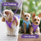 rabbitgoo Small Dog Harness, Step-in Soft Mesh Puppy Vest with Safety Buckle, Breathable Reflective Pet Harness for Small Sized Dogs, Purple XS