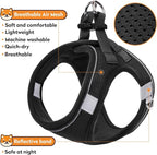 Dog Harness with Leash Set, No-Pull Step-in Reflective Pet Harness with 1 Leash Clips, Adjustable Soft Padded Easy Walk Dog Vest for Small Medium Large Dogs, Cats(Carbon Black, XXXSmall)