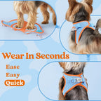 rabbitgoo Small Dog Harness, Step-in Soft Mesh Puppy Vest with Safety Buckle, Breathable Reflective Pet Harness for Extra Small Dogs, Blue & Orange XXXS