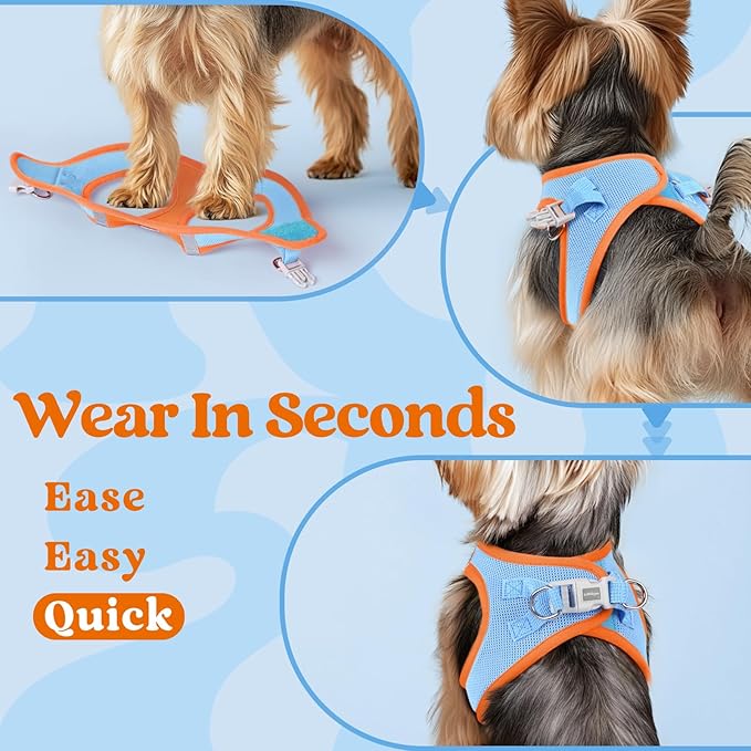 rabbitgoo Small Dog Harness, Step-in Soft Mesh Puppy Vest with Safety Buckle, Breathable Reflective Pet Harness for Small Medium Dogs, Blue & Orange L