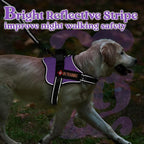 rabbitgoo Dog Harness Small Sized, No Pull No Choke Pet Vest, Easy Wearing with One Buckle, Reflective, Adjustable Pet Harness with Molle for Walking, Training, Purple, S