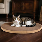 Round Cat Scratcher Refill 10 inch Diameter 3/5 Inch Thickness Circle Scratcher Replacement Scratcher Pads for Indoor Cats Scratching Cardboard (1 Pc)