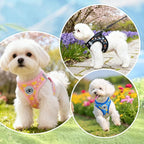 BEAUTYZOO Dog Harness Small Sized and Leash Set, Step-in Soft Padded Mesh Puppy Vest, Reflective Dog Harness No Pull No Choke, Breathable Easy Walking Vest Harnesses for Girl Boy Pets, Black Planet S